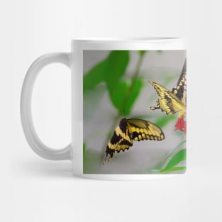 Tiger swallowtail butterflies Mug